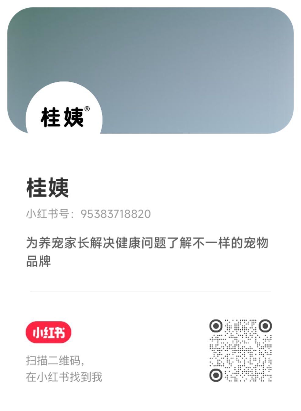 小红书